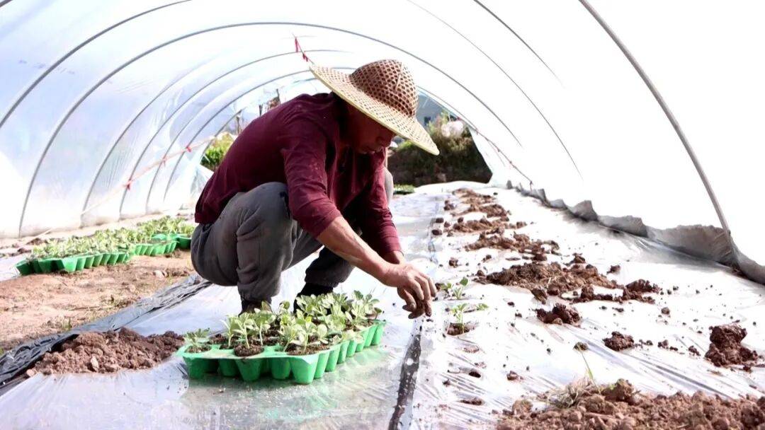 坐等夏天吃瓜！