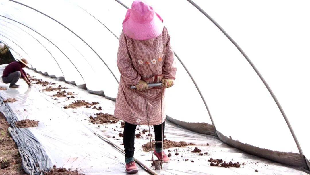 坐等夏天吃瓜！