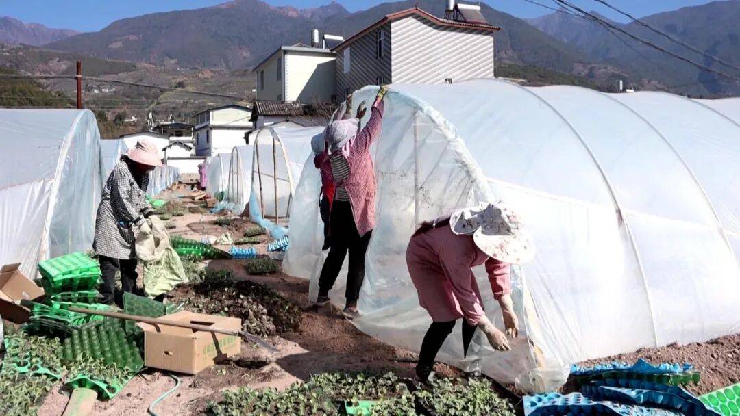 坐等夏天吃瓜！